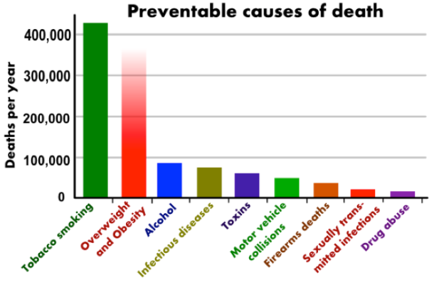 Preventable Causes of Death